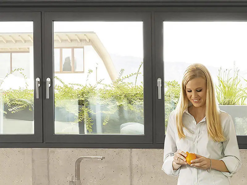 Aluminum windows
