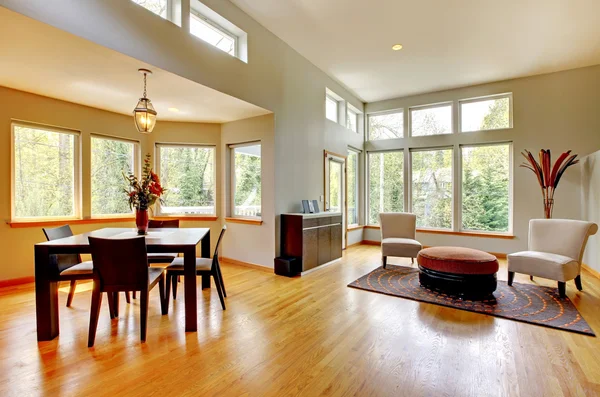Windows for the living room