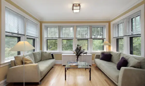 Windows to the living room