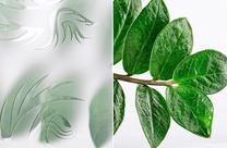 FENIX-WHITE FENIX-WHITE