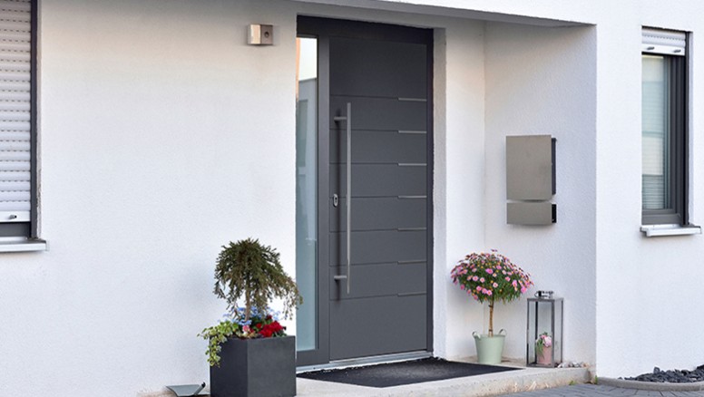 Entrance panel doors
