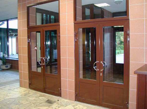 Metal-plastic doors