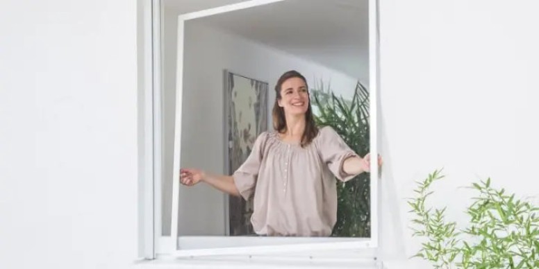 mosquito net