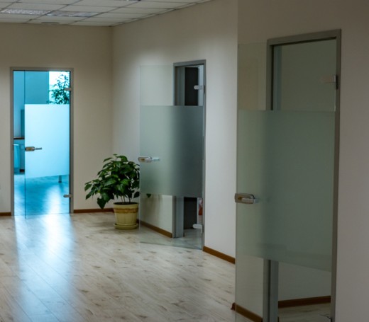 Glass toilet door