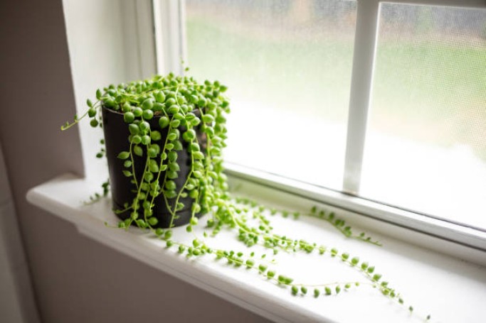 PVC window sills